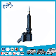  Auto Parts Car Ignition Coil for Baic (OEM: 37050100-D01-B00)