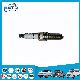  Auto Parts Car Spark Plug for F507 (OEM: LDK8RAPP)