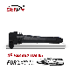  Senp Top Quality Car Spare Parts Auto Engine System Ignition Coil for Porsche Cayenne 948 602 104 05 94860210405