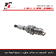 for VW Spark Plugs Pfr7s8eg Ngk Best Quality 06h905601A
