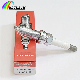  Vehicle Electric Parts Reliable Nickel Alloy Iridium Spark Plug 12290-59b-003 M12X1.25 for Honda/Bosch/Denso