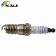  Truck Part Discount Nickel Alloy Iridium Spark Plug Sp-432/0 242 236 658/Agsf32FM/30731878/Tr 6ap13/4968 for Ford/Ngk/Nissan/Bosch/Denso