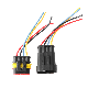  OEM ODM Hot Sell Car Automotive Inner Engine Wiring Harness Cable Assembly for Automotive Wiring