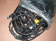  Sinotruk Engine Parts Common Rail Engine Harness Assembly Vg1540090009