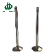  Europe Truck Parts Intake Exhaust Valve Engine for Scania DC9