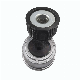 Auto Tensioner 2525848000 Fit for Hyundai manufacturer
