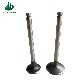 Doosan Excavator Engine Parts Intake and Exhaust Valve for dB58 manufacturer