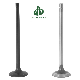 Truck Spare Part Intake Exhaust Valve Engine for Hino PC11
