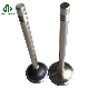 Korea Auto Part Intake Valve Engine for Hyundai