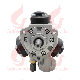  Golden Vidar Fuel Pump 22100-E0025 294050-0138 for Diesel Fuel Engine for Hino J08e