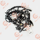 Factory Price Diesel Engine Qsl9 Ecm Wiring Harness 5253885 5268335 5288537