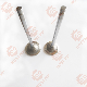  Hot Sale 6bt5.9 Natural Gas Engine Parts Intake Valve 3922713 3802658 Made in China