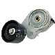 Man 51968200241 51968200248 Belt Tensioner, V-Ribbed Belt manufacturer