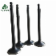 Japanese Engine Model Intake Exhaust Valve for Nissan manufacturer