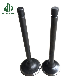  Isuzu Engine Intake Exhaust Valve Auto Part for 4jb1