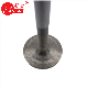 Mercedes Benz Engine Parts 9060500326/Om902 Intake Valve