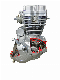  150cc/200cc/250cc Air Cooling/Water Cooling Three-Wheeled Motorcycle Engine Motor Cycle Engine