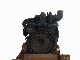  Factory Price Diesel Engine Single Cylinder with High Quality