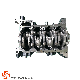  Cylinder Assy-Short Blook Engine Assembly for Ford Transit 2.4L 1749284 7c1q-6011-Ca