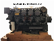  Fast Delivery Diesel Engine Factory for Machine Engine