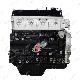  Pickup Engine Block for Great Wall Gw491qe 4G94 4n15 4G64 4n20