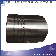 Original Engine Spare Parts Piston A350511 for Iveco