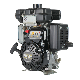  Eh09 Easy Operation 3HP Robin Gasoline Engine for Water Pump