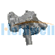 Micro Car Water Pump Yanmar 2tne68 119520-42000 Bellier Vx550s Microcar Chatenet Jdm Casanili Axiam