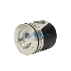  Piston China Original Sinotruk HOWO Shacman Foton FAW JAC Beibennew Yuchai Shantui Xgma Engine Truck Spare Parts Piston for Sale Vg2600030010
