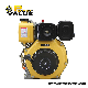  Chinese Twin Cylinder Air-Cooled Diesel Engine for Sale