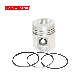  Diesel Engine FL912 Spare Parts Piston with Piston Rings 02233361 for Deutz
