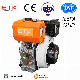  12HP Air Cooled Single Cylinder Diesel Engine Motor