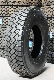  High Quality TBR Tyres, Radial Truck and Bus Tyre with 13r22.5