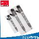  Bosch Fuel Injectors 0445110376/0445110594/0 445 110 376/0 445 110 594 for Isf 2.8 Diesel Engine
