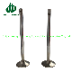 Auto Spare Parts Intake Exhaust Valve Engine for D12c