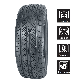  R17 Wholesale Tires in China with Best Price
