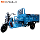  Direct-to-Consumer Electric Tricycle of Superior Quality