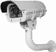 Car License Rearview Recognition Camera (WS-800)