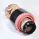  Factory Price Oil/Air/Fuel/Cabin Auto Car Filter C352260 1534971 3560 C352260 Auto Parts Car Accessories