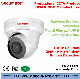  Smart Ai Dual Lights 8MP/4K/6MP/5MP/4MP/3MP/2MP WDR Full Color Colorvu Bullet Dome Network Security Surveillance IP CCTV Camera From CCTV IP Camera OEM Supplier