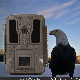  ODM OEM Bstcam Outdoor IP67 Waterproof Home Surveillance Trail Camera
