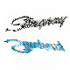 Letters Fit for Silverado Camaro Emblem Fender Badge Decal Sticker Logo Car Accessories Car Parts Decoration Metal Emblem