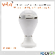  Wholesales Price Bulb Home Security Surveillance IR Fisheye CCTV Dual Light Bulb Camera PC Mobile Remote Control