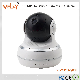  1.3MP Pan/Tilt/Zoom WiFi IP Camera Vehicle Camera Surveillance Camera Factory