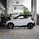  Green Travel Mode Electric Vehicle with Left Steering Wheel