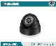  Bus/Car/Truck Front/Side View CCD Camera with Infra-Red Lights for Good Night Vision