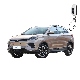  China Wm Weltmeister Ex5-Z Electric 4 Wheeler Electric Car EV SUV with English Shytem Electric Automobile E Auto