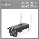  5MP Platform Surveillance Display Anpr Results Car Number Plate Recognition Bullet IP Camera