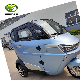 1500W EEC Approved 3 Wheel Electric Mini Car