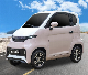  EEC Approval Mini 4 Wheel Electric Car Without Driving Licence in China